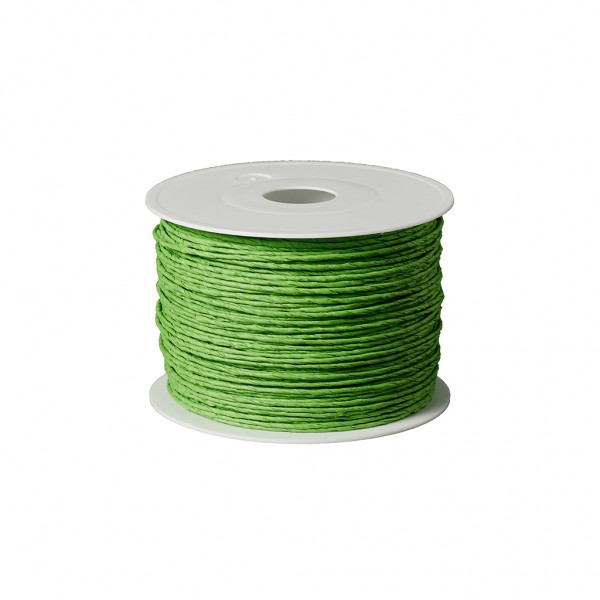 light green paper wire (crazy paper)